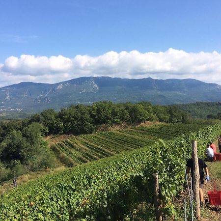 Bed and Breakfast Kraljic - Primoz Cotar Dornberk Exterior foto